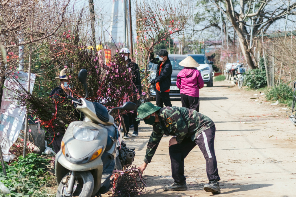 hoa đào