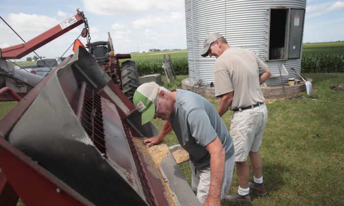 Tâm lý của nông dân Mỹ cải thiện trong bối cảnh giá cả hàng hóa tăng cao