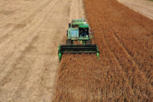 Tâm lý của nông dân Mỹ cải thiện trong bối cảnh giá cả hàng hóa tăng cao