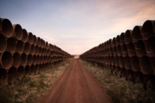 Các ông chủ nghiệp đoàn chống lại công việc cho thành viên