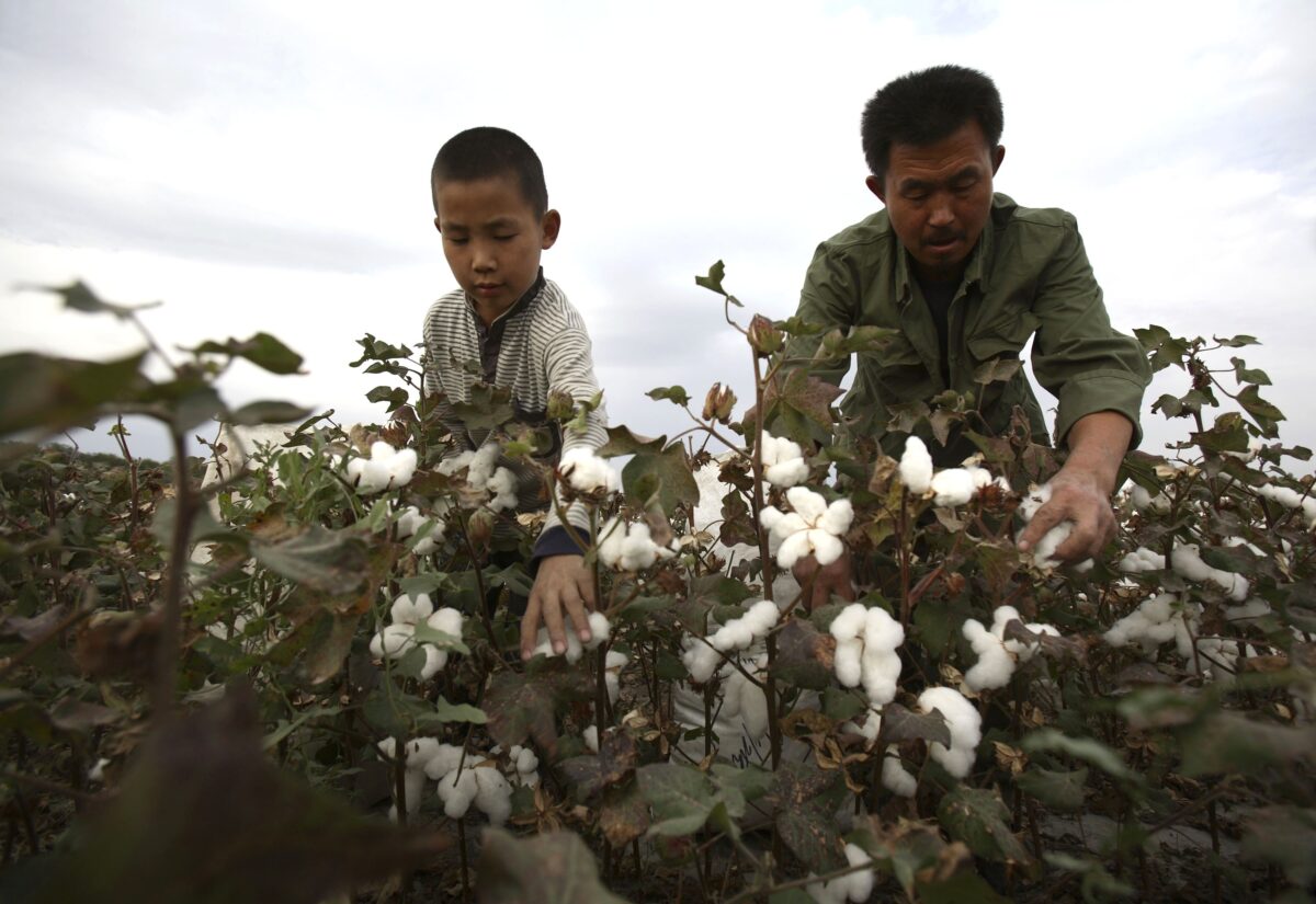 Truyền thông Trung Quốc phát hình ảnh tuyên truyền Tân Cương tại Quảng trường Thời Đại của Hoa Kỳ