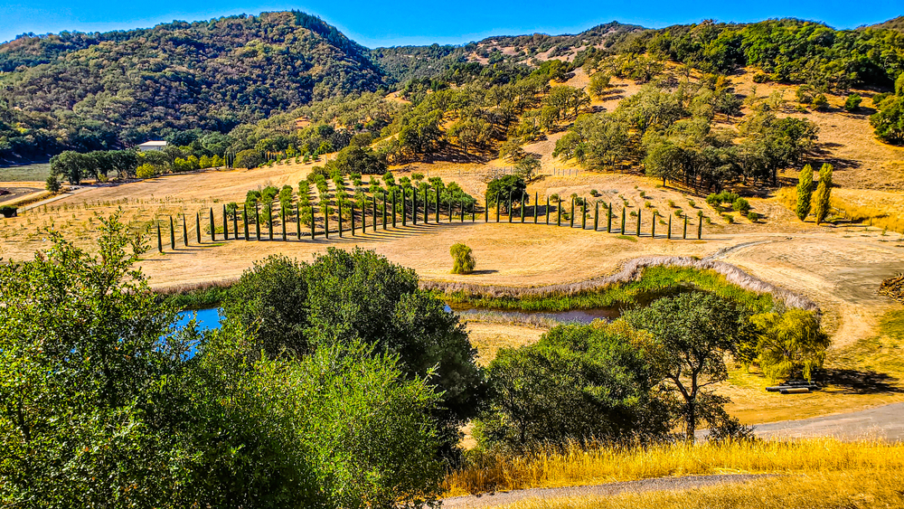 Xứ sở rượu vang Mendocino, tiểu bang California