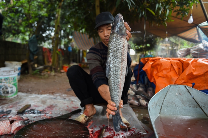 Ghé thăm làng Vũ Đại