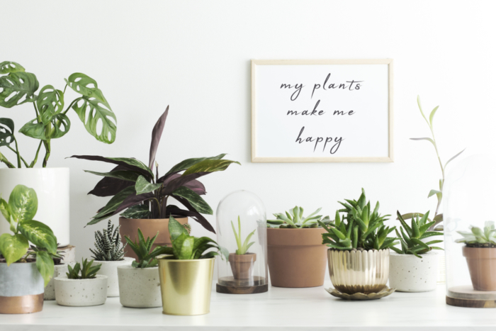 phụ nữ hạnh phúc khi trồng cây
