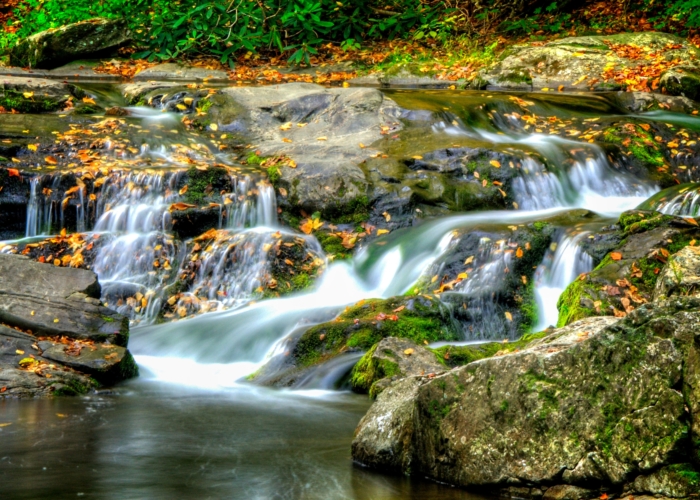 Great Smoky: Công viên thu hút nhiều du khách nhất Hoa Kỳ