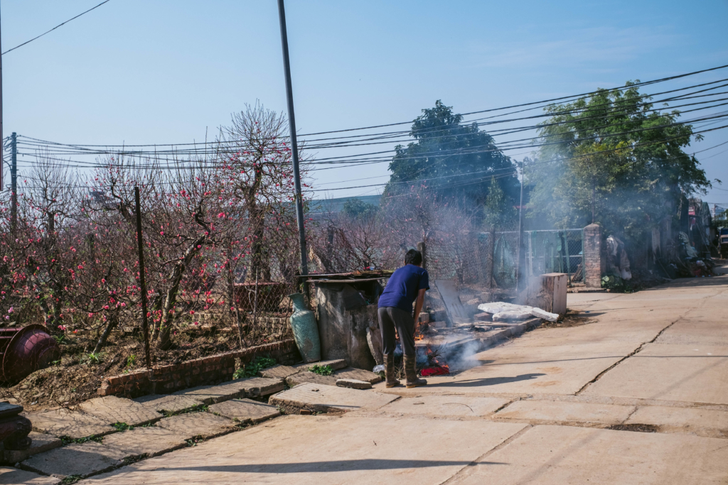 chợ hoa đào mùa covid