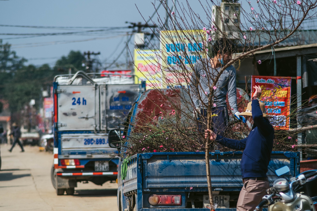 chợ hoa đào mùa covid