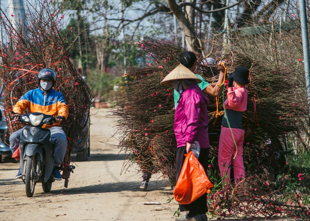 chợ hoa đào mùa covid