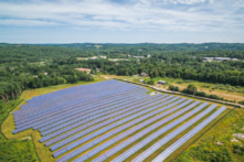 Thị trường việc làm về năng lượng mặt trời bùng nổ 