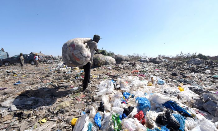 Báo cáo mới về sự nguy hiểm của đồ nhựa và vi nhựa