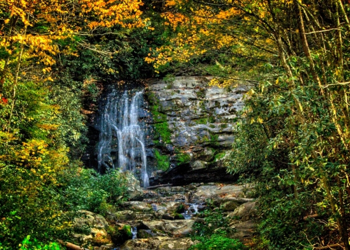 Công viên Great Smoky Hoa Kỳ