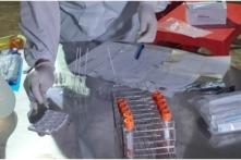 Việt Nam ngày 19/2: Tổng gần 55,000 ca nhiễm mới, 37 xã phường ở Hà Nội nâng cấp độ dịch, giá test nhanh tối đa 78,000 đồng