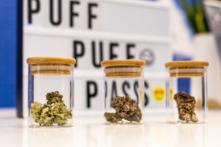 Los Angeles ưu tiên giấy phép bán lẻ cần sa mới cho ‘Người nộp đơn đăng ký công bằng xã hội’