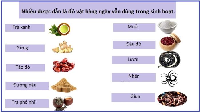 dược dẫn trong trung y