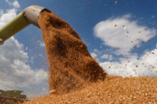 Chiến tranh Ukraine tạo ra khủng hoảng lúa mì ở Trung Đông và Bắc Phi, Trung Quốc tận dụng thời cơ