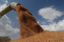 Nhà sản xuất phân bón Na Uy: Nguồn cung phân bón toàn cầu đang gặp rủi ro vì phụ thuộc vào Nga