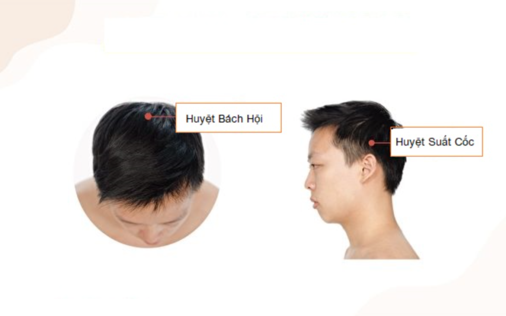 3 loại dược thiện đơn giản cải thiện tình trạng bạc tóc, giúp trẻ ra nhiều tuổi