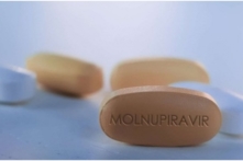 Tin Việt Nam ngày 17/3: Sài Gòn kiến nghị mua 20,000 liều Molnupiravir, Chính phủ chưa thay đổi đơn vị sát hạch, cấp giấy phép lái xe