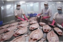 Tin Việt Nam ngày 21/3: Liệu đã qua đỉnh dịch khi số F0 giảm ngày thứ 4? Trung Quốc tăng nhập hải sản Việt lên gấp đôi