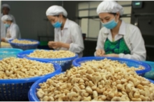 Tin Việt Nam ngày 25/3: Lộ diện đối tượng lừa đảo vụ 100 container hạt điều xuất sang Ý, giải pháp nào để có lại quyền kiểm soát?