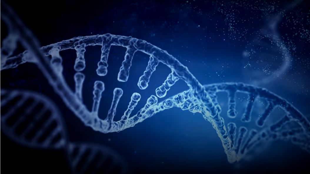 Khám phá bí ẩn của gene người, câu hỏi lớn cho Thuyết tiến hóa