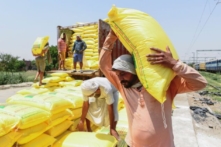 Chi phí phân bón tăng do chiến tranh sẽ ảnh hưởng đến giá lương thực trên toàn thế giới