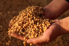 Trung Quốc đang tích trữ lương thực và hàng hóa