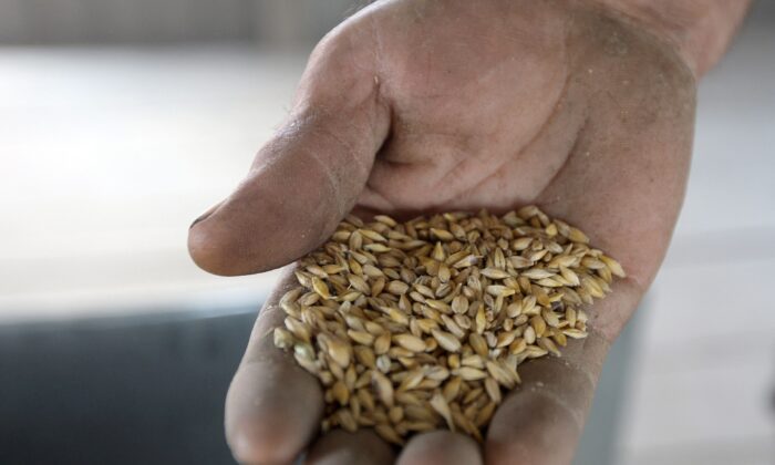 Chính sách bảo hộ có thể làm gia tăng gián đoạn chuỗi cung ứng lương thực toàn cầu