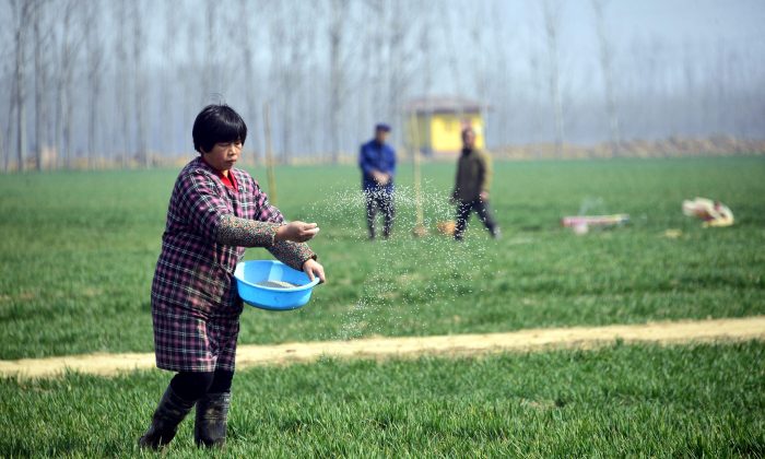 Trung Quốc chuẩn bị cho cuộc khủng hoảng thiếu lương thực