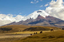 du lịch Ecuador