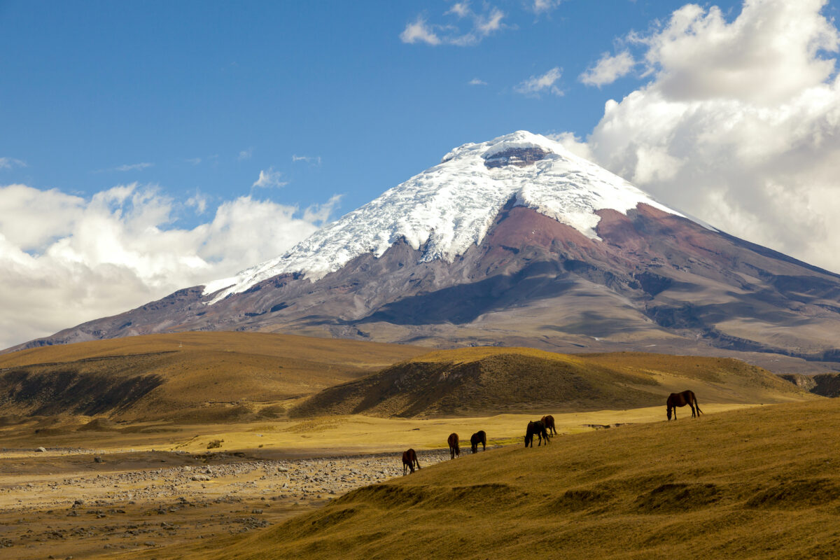 Ecuador: Những dãy núi, phiên chợ trù phú và âm nhạc