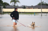 Một người đàn ông dắt con chó của mình đi qua một con phố ngập lụt ở Ballina, Úc, hôm 03/03/2022. (Ảnh: Dan Peled/Getty Images)