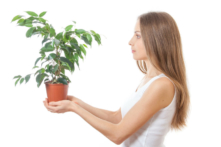 Thí nghiệm khoa học chứng minh: Ý niệm của con người ảnh hưởng đến thực vật