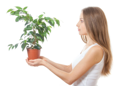 Thí nghiệm khoa học chứng minh: Ý niệm của con người ảnh hưởng đến thực vật