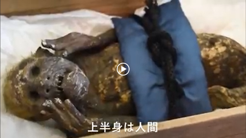 Xác ướp người cá 300 năm tuổi được lưu giữ trong ngôi đền Nhật Bản 