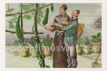 Những dự ngôn thần kỳ của thần y Tôn Tư Mạc