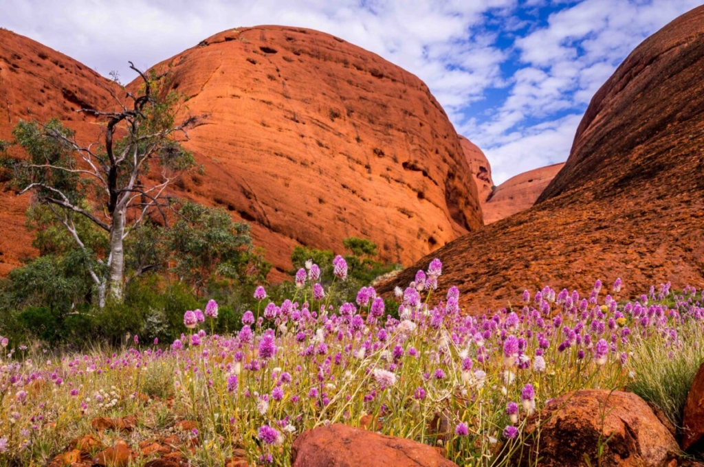 Tảng sa thạch Uluru