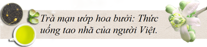 Hoa bưởi: Hương thầm của mùa Xuân