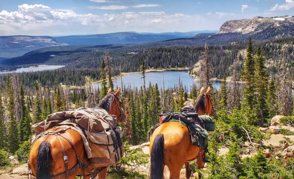 ‘Cuộc sống trở nên đơn giản, trong sáng, chân thực’: Cô gái 22 tuổi một mình cưỡi ngựa từ Mexico sang Canada