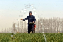 Bắc Kinh khôi phục đất canh tác để ngăn chặn thiếu lương thực do cuộc chiến Nga-Ukraine