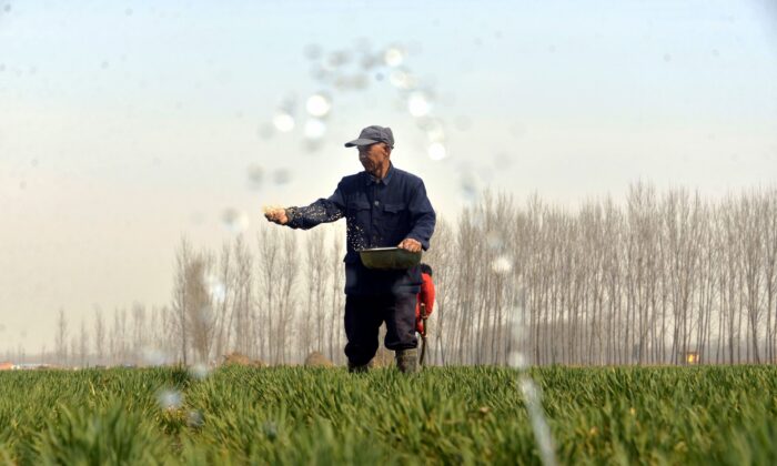 Bắc Kinh khôi phục đất canh tác để ngăn chặn thiếu lương thực do cuộc chiến Nga-Ukraine