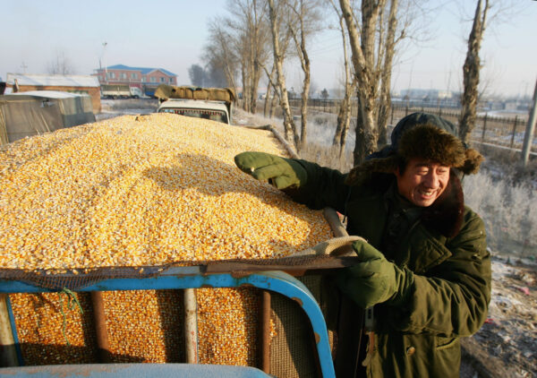 Tình trạng thiếu lương thực xuất hiện khi nông dân Trung Quốc gặp khó khăn giữa đại dịch