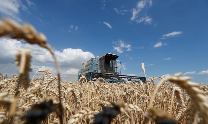 Báo cáo của LHQ: Chiến tranh ở Ukraine có tác động lâu dài đến giá lương thực