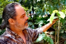 Thiếu hụt cà phê ở Mỹ Latinh gây rắc rối cho người tiêu dùng Hoa Kỳ