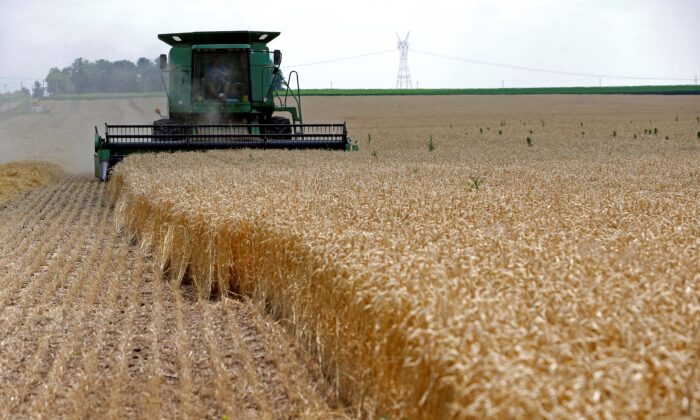 Các nhà đầu tư đổ xô vào đất nông nghiệp như một biện pháp phòng rủi ro lạm phát