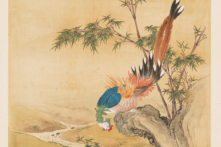 Những loài chim cát tường