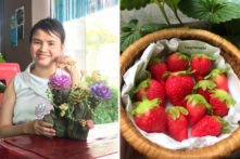 Những đóa hoa bằng đất sét giống hoa thật đến khó tin