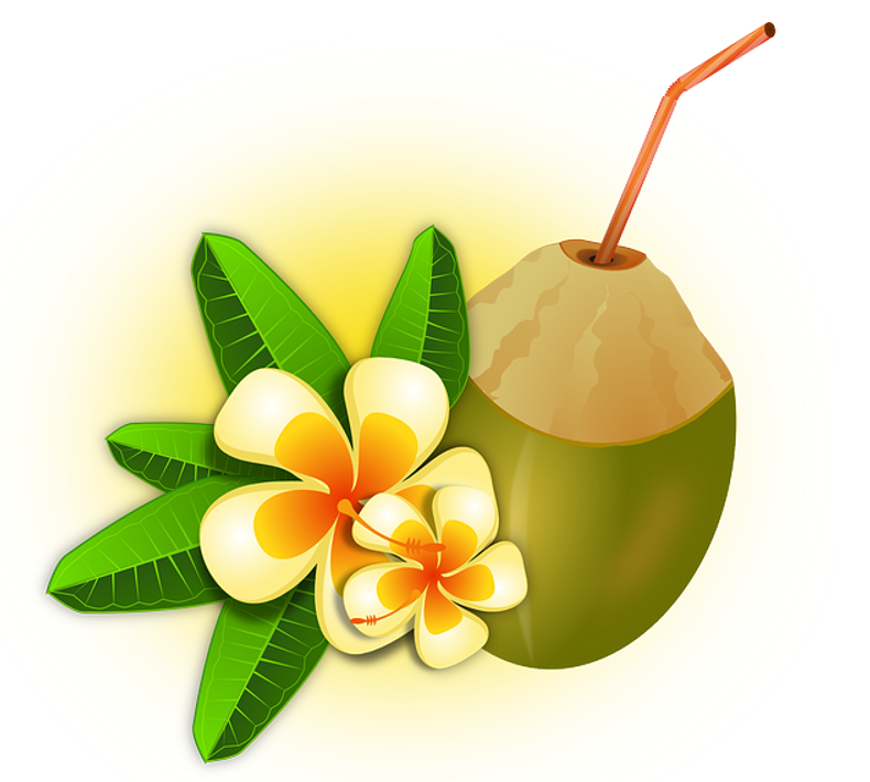 Dầu dừa có thể mang lại lợi ích cho sức khỏe của bạn như thế nào?