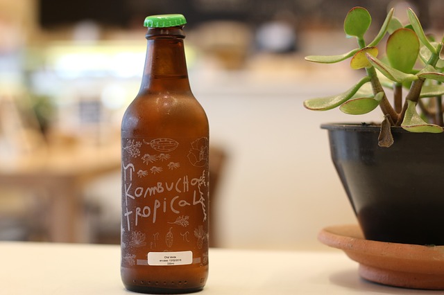 Lợi ích sức khỏe của trà Kombucha