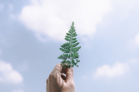 Tặng người lời nói, quý như châu báu, hại người bằng lời, hơn cả kiếm giáo